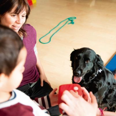 Perros jugando con niños
