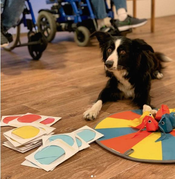 Perros jugando con niños