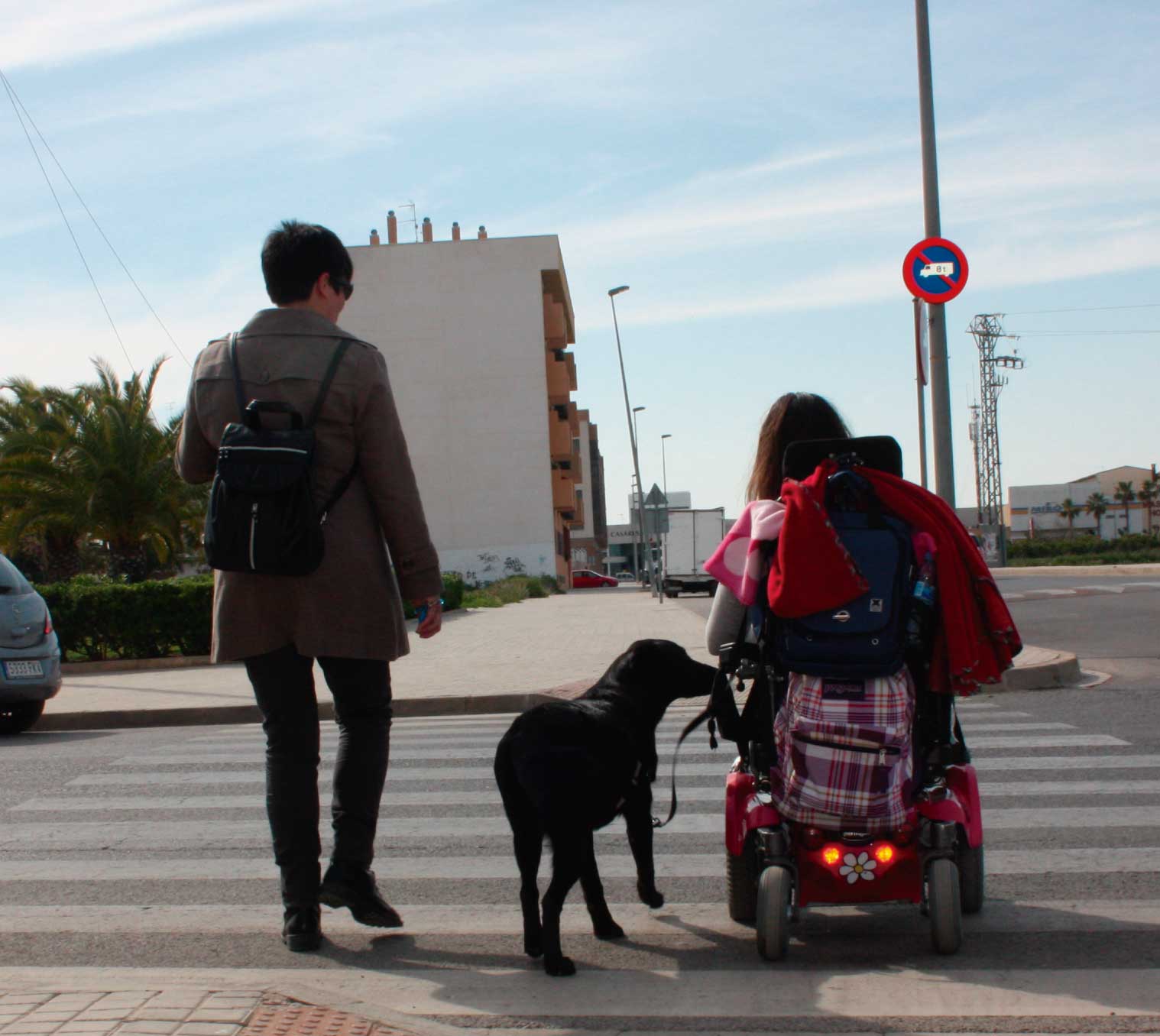Perros de asistencia con personas